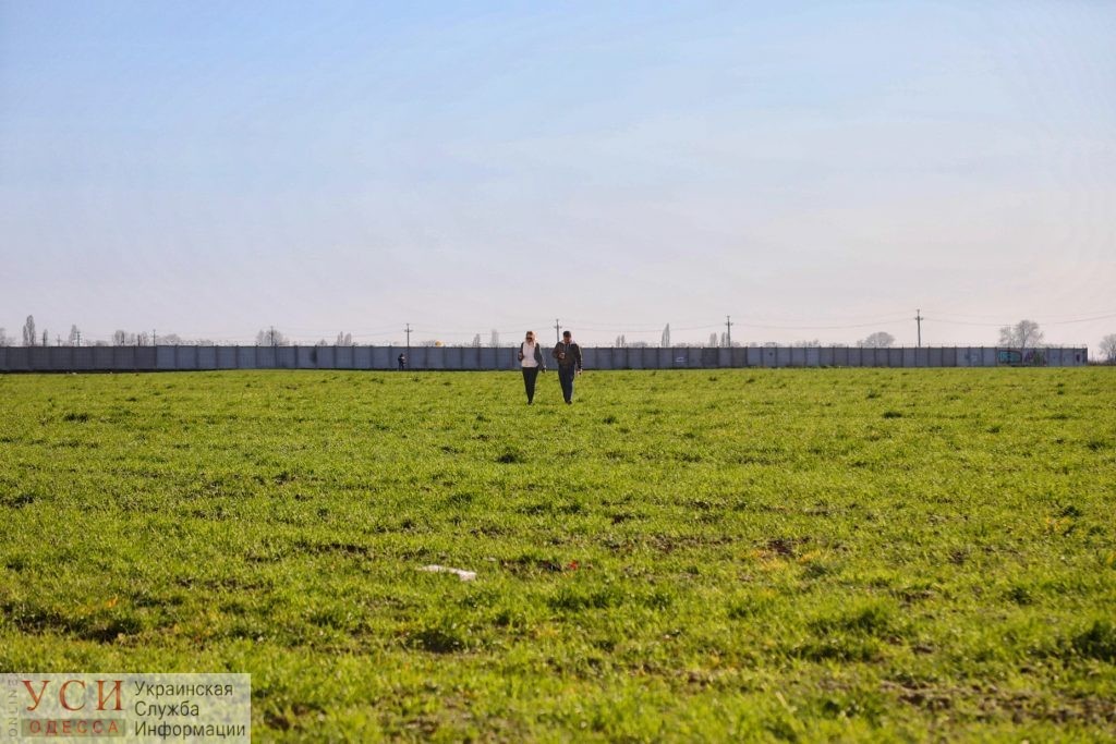 В Одессе 27 гектаров полей рядом с “Радужным” продали киевлянам в три раза дешевле рыночной цены «фото»