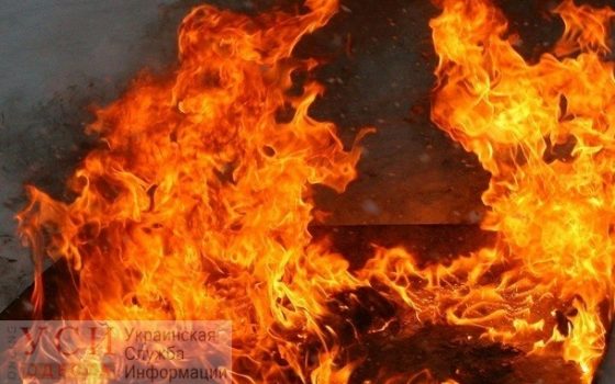 Масштабный пожар вблизи Черноморского порта: всю округу окутал едкий черный дым (видео) «фото»