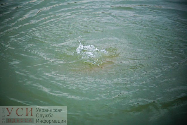 В пруду под Одессой спасатели ищут пропавшего парня «фото»