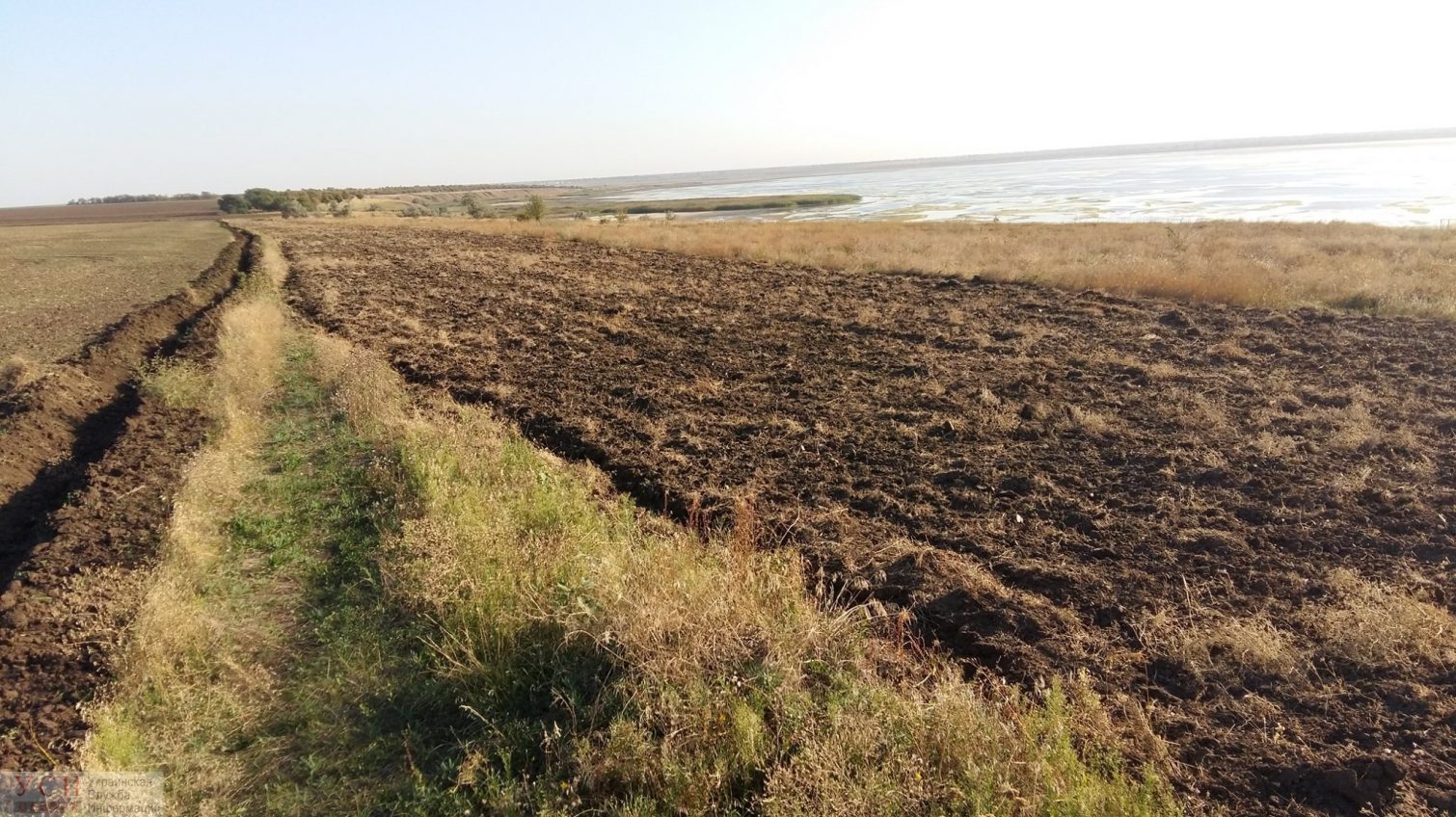 Фермеры-захватчики распахали часть заповедной зоны в национальном парке в Одесской области (фото) «фото»