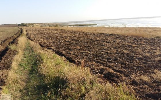 Фермеры-захватчики распахали часть заповедной зоны в национальном парке в Одесской области (фото) «фото»