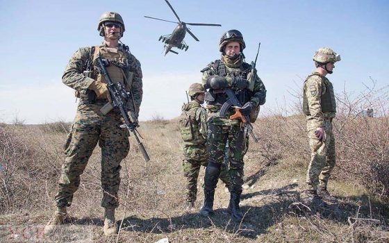 “Платиновый орел”: украинские морпехи прибыли в Румынию на международные учения «фото»