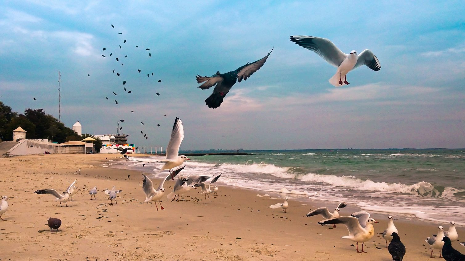 Последние теплые дни: безлюдное морское побережье и жизнь его обитателей (фото) «фото»