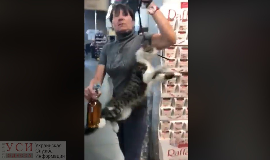 “Буду делать с ним, что хочу”: в Одессе женщина издевалась над котом в супермаркете (видео) «фото»