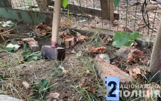 Под Одессой женщина убила кувалдой свою мать во время ссоры из-за ювелирных украшений (фото, видео) «фото»