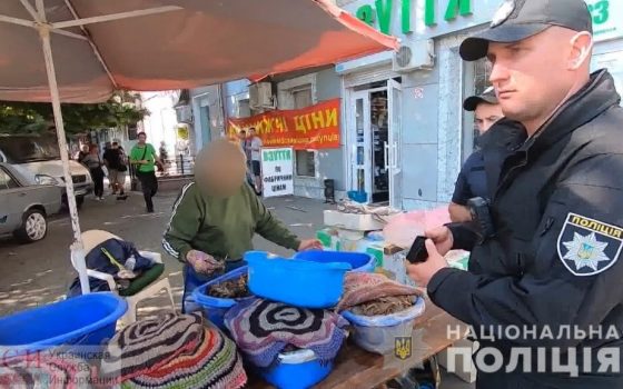 Мидии, раки, краснокнижный осетр: полиция продолжает борьбу с незаконной торговлей водными биорессурсами (фото) «фото»