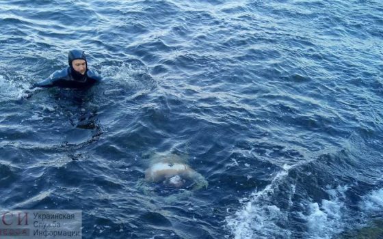 Возле дельфинария Немо нашли утопленника «фото»
