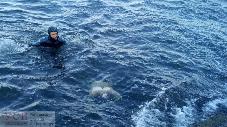 Возле дельфинария Немо нашли утопленника «фото»