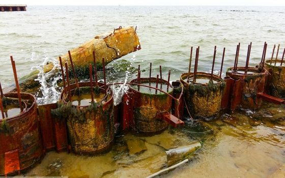 Эколог: на стройке канала “Тилигульский лиман – Черное море” незаконно вылавливают рыбу и вывозят песок (фото) «фото»