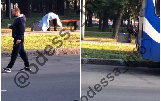 В сквере на Старосенной площади умер мужчина usionline.com В сквере на Старосенной площади умер мужчина «фото»