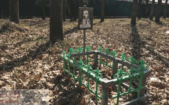 “Горзелентрест” борется с кладбищами домашних животных: где одесситам хоронить своих питомцев (фото) «фото»