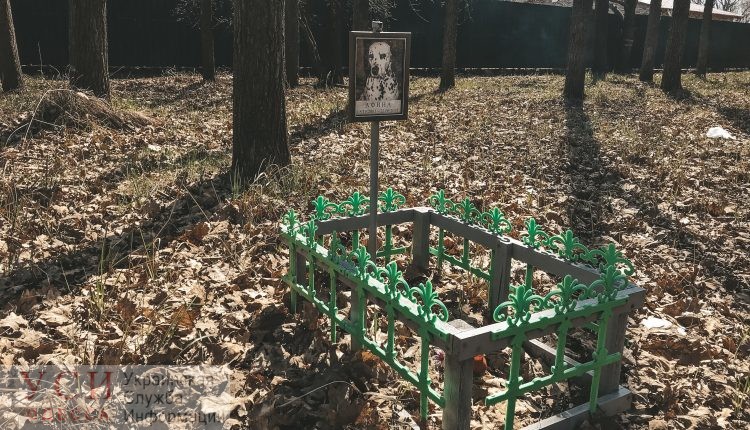 “Горзелентрест” борется с кладбищами домашних животных: где одесситам хоронить своих питомцев (фото) «фото»