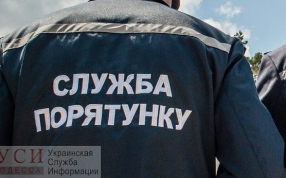 В Черноморске грузовик насмерть переехал пожилую женщину «фото»