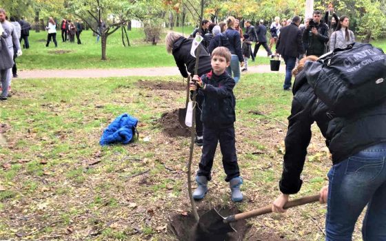 Сакуры, орешники, дубы, рябины и акации: в парках Одессы высадили более 350 деревьев (фото) usionline.com Сакуры, орешники, дубы, рябины и акации: в парках Одессы высадили более 350 деревьев (фото) «фото»