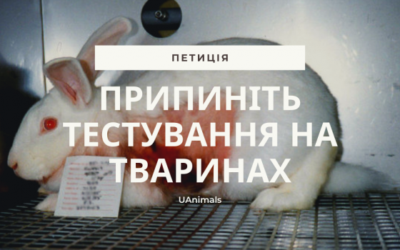 Украинцы собрали 25 тысяч голосов под петицией о запрете тестирования косметики на животных usionline.com Украинцы собрали 25 тысяч голосов под петицией о запрете тестирования косметики на животных «фото»