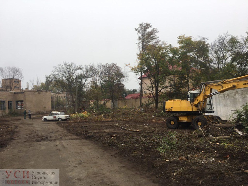 Очередная стройплощадка: на 13-й Фонтана массово уничтожают деревья (фото) «фото»