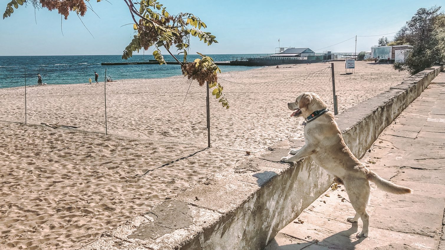 Суд запретил уменьшать протяженность пляжа в Одессе «фото»