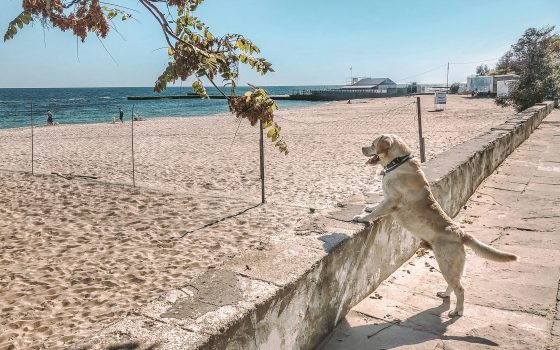 Суд запретил уменьшать протяженность пляжа в Одессе «фото»