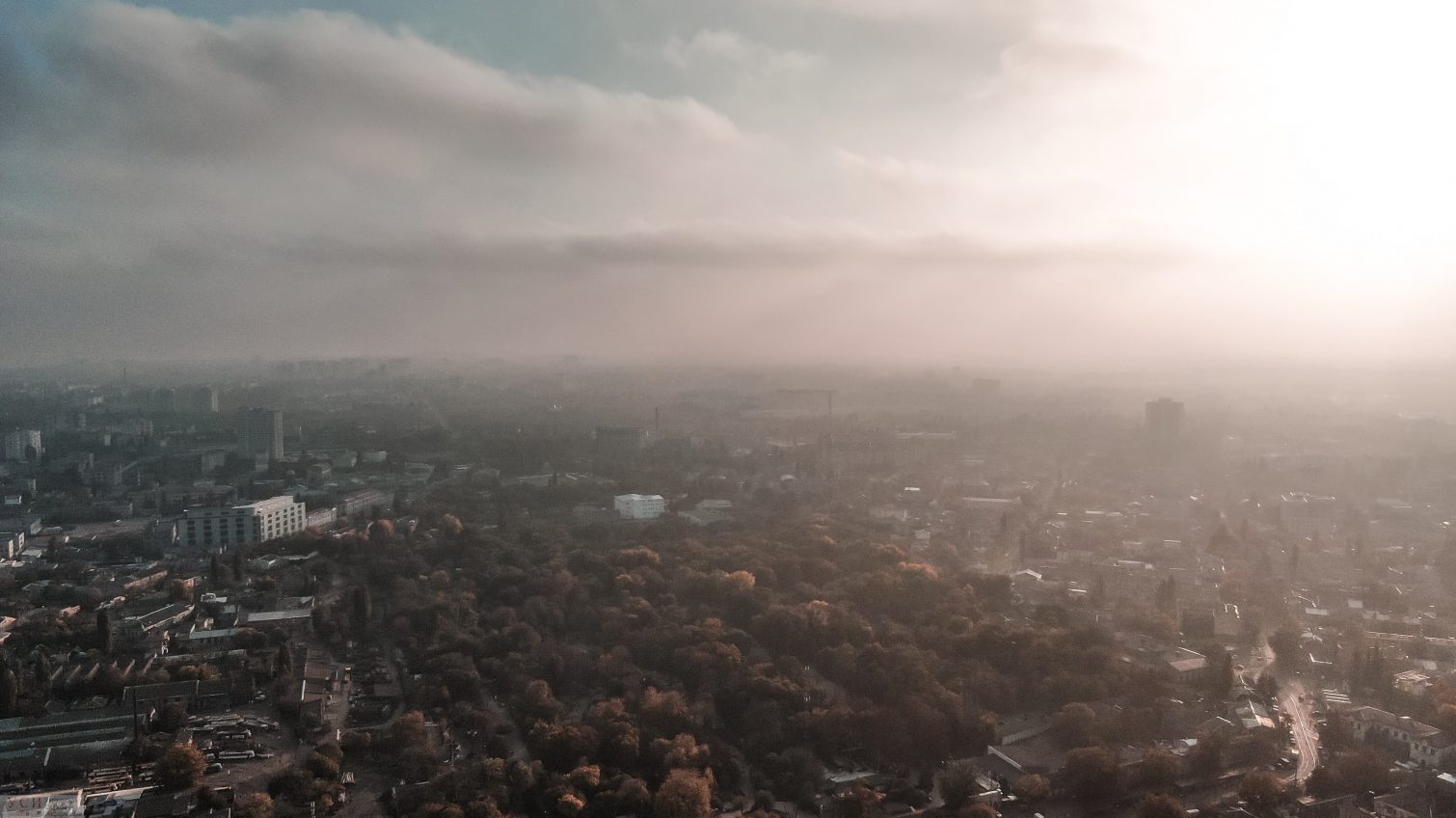 Осенние туманы над Одессой: какими их увидели корреспонденты УСИ (фоторепортаж) «фото»