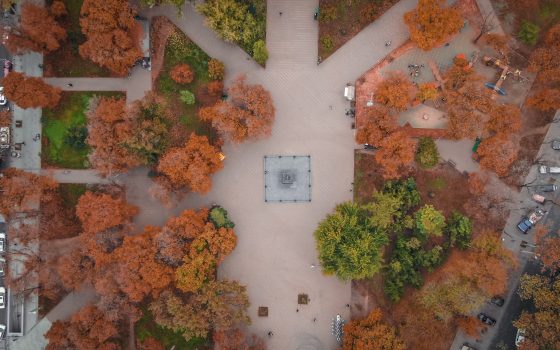 Краски осени в туманном городе: УСИ запечатлела центр Одессы с высоты (фоторепортаж) «фото»