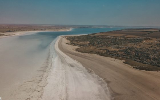 Чиновники обещают спасти Куяльник за полмиллиарда гривен: экологи боятся, что деньги спишут впустую «фото»