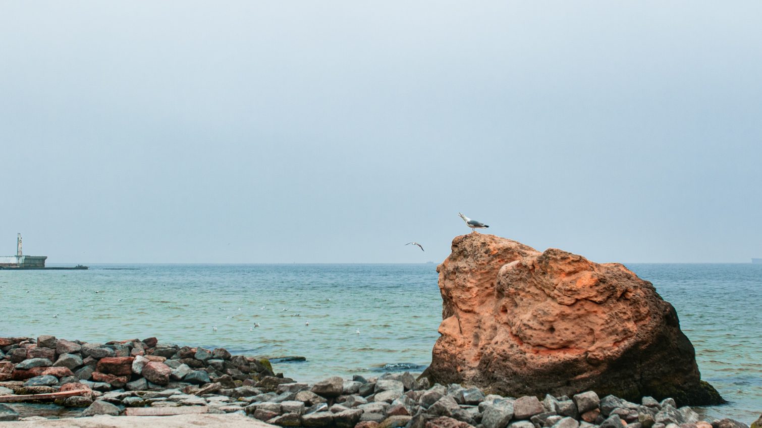 Прогулка по пустым пляжам Одессы в холодные осенние дни (фоторепортаж) «фото»