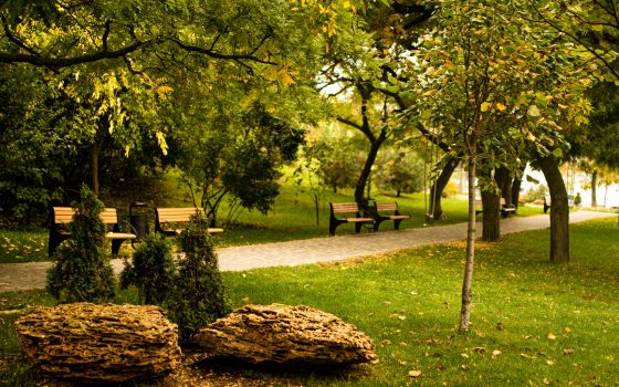 Начало недели в Одессе будет теплым и без осадков «фото»