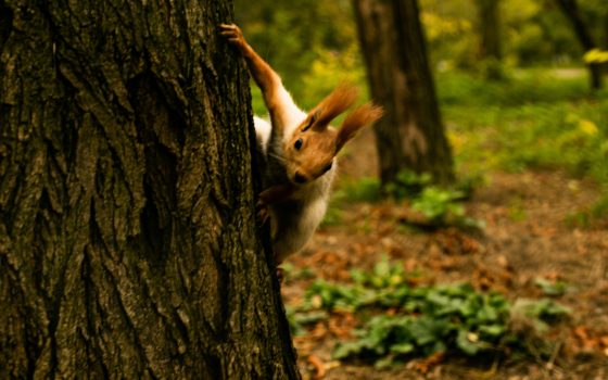 Одесская осень в красках (фоторепортаж) «фото»