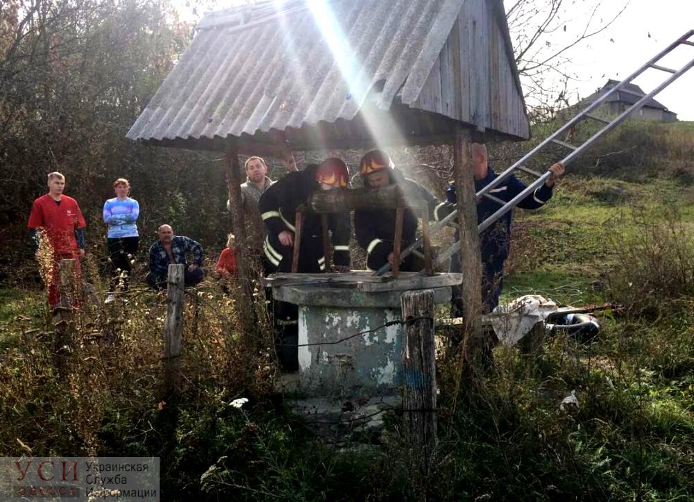 Под Одессой пенсионерка упала в пятиметровый колодец (фото) «фото»