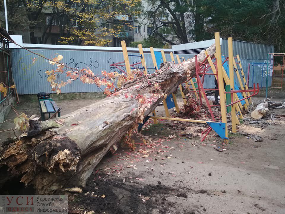 Дерево рухнуло и раздавило спортплощадку во дворе на Черемушках (фото) «фото»