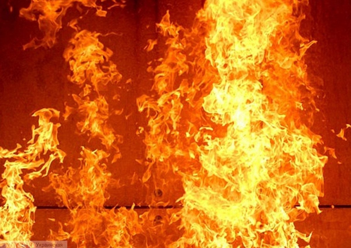В Одесской области горело зернохранилище «фото»