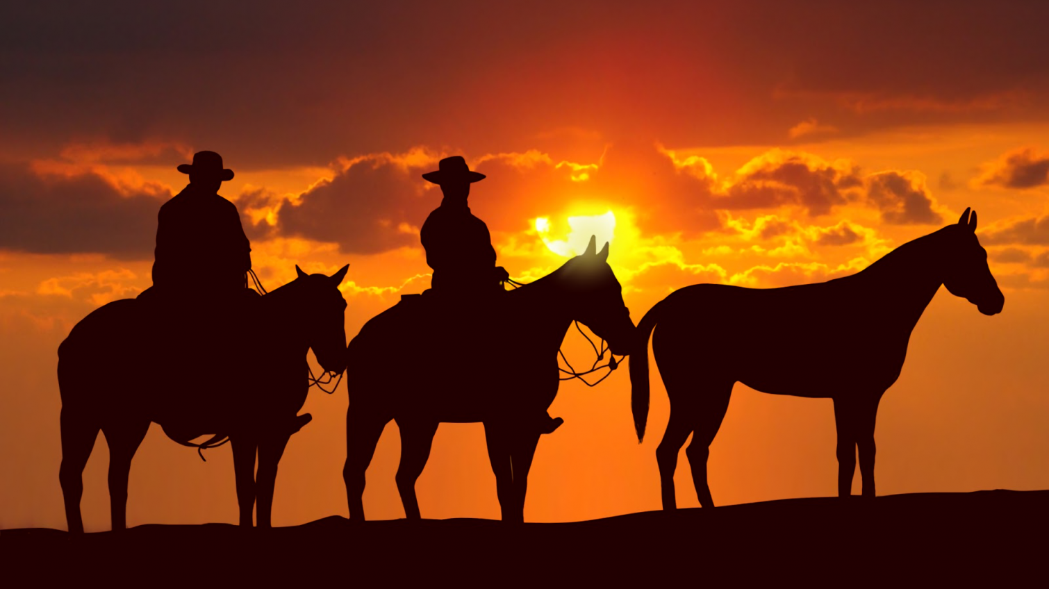 “По коням”: под Одессой группа пьяных мужчин украла коней с хозяйского двора «фото»
