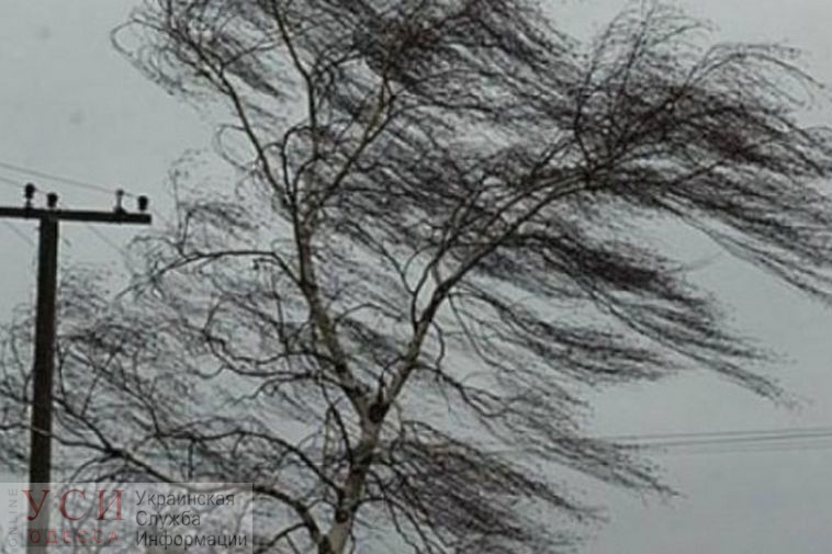 На проспекте Гагарина из-за сильного ветра упал большой рекламный щит (видео) «фото»