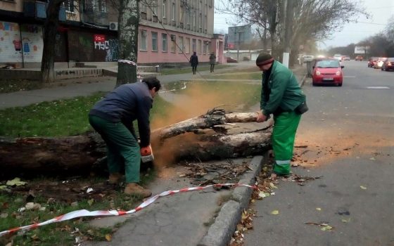 Последствия непогоды: за сутки в Одессе ветер повалил 24 дерева и оборвал провода в 10 местах (фото) usionline.com Последствия непогоды: за сутки в Одессе ветер повалил 24 дерева и оборвал провода в 10 местах (фото) «фото»
