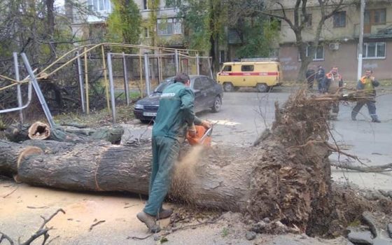 В Одессе из-за сильного ветра падают деревья (фото) usionline.com В Одессе из-за сильного ветра падают деревья (фото) «фото»