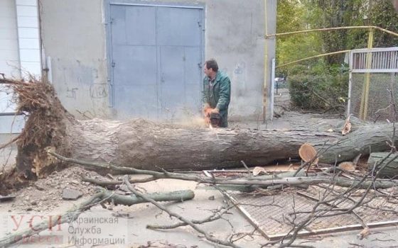 Дерево упало на газопровод и автомобиль из-за за сильного ветра в Одессе (фото) «фото»