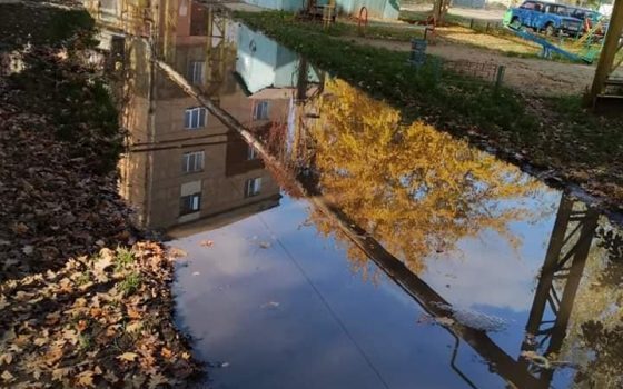В квартирах сырость, плесень и грибок: подпочвенные воды вот-вот “вынудят” одесситов перекрывать дороги (фото) usionline.com В квартирах сырость, плесень и грибок: подпочвенные воды вот-вот “вынудят” одесситов перекрывать дороги (фото) «фото»