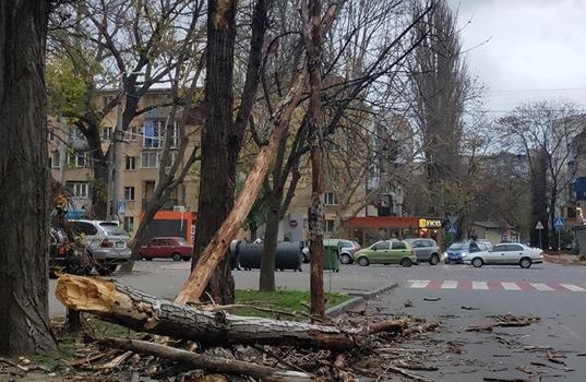 Штормовой ветер валит деревья по Одессе (фото) usionline.com Штормовой ветер валит деревья по Одессе (фото) «фото»