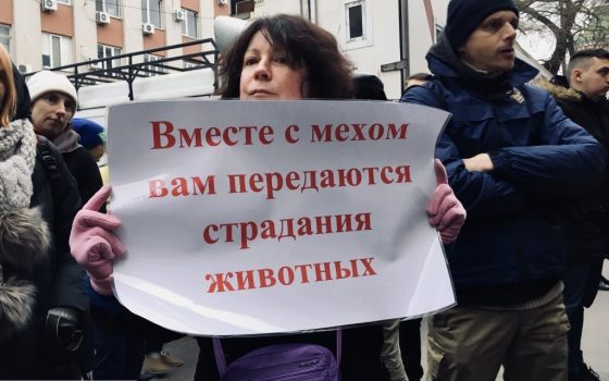 Украинские зоозащитники проведут акции протеста у магазинов меха в “Черную пятницу” «фото»