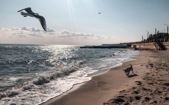 Четверг в Одессе будет малооблачным и теплым usionline.com Четверг в Одессе будет малооблачным и теплым «фото»
