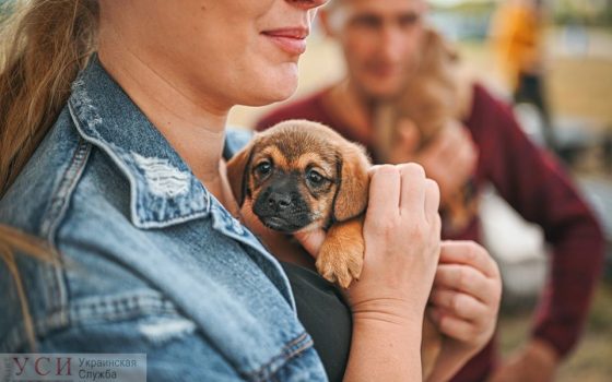 В Одессе проведут пятый “Home me Fest”: волонтеры собирают средства на организацию фестиваля usionline.com В Одессе проведут пятый “Home me Fest”: волонтеры собирают средства на организацию фестиваля «фото»