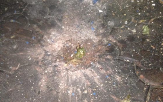 Жителю села в Одесской области во двор бросили гранату «фото»