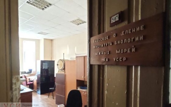 Появились фотографии уцелевшей части сгоревшего здания на Троицкой (фото) usionline.com Появились фотографии уцелевшей части сгоревшего здания на Троицкой (фото) «фото»