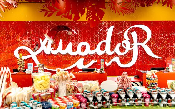 Полтысячи мягких мишек украсили елку в детском пространстве Amador (фото) «фото»