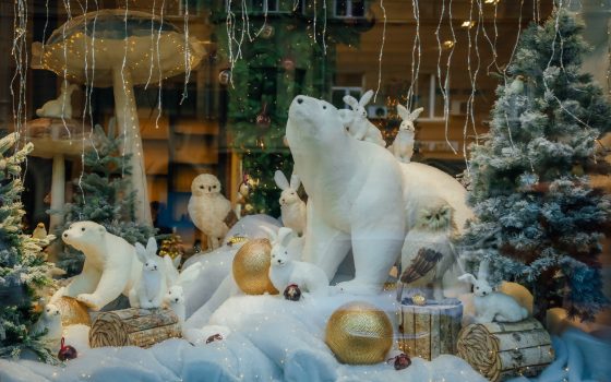 За новогодним настроением отправляйтесь в центр: Одесса готовится к самому семейному празднику (фоторепортаж) «фото»