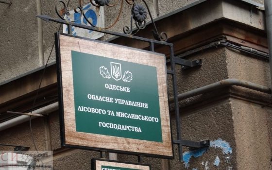 Депутаты продлят инвентаризацию всех лесхозов Одесской области еще на год usionline.com Депутаты продлят инвентаризацию всех лесхозов Одесской области еще на год «фото»