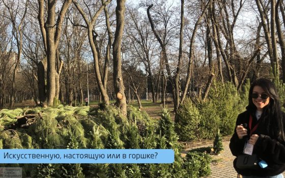 “Я с прошлого года не выкидывал елку”, – одесситы определились с выбором новогодней красавицы (видео) usionline.com “Я с прошлого года не выкидывал елку”, – одесситы определились с выбором новогодней красавицы (видео) «фото»