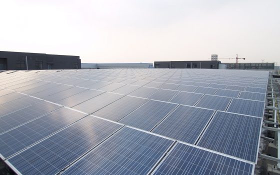 Три новые солнечные электростанции от экс-регионалов появятся в Одесской области «фото»