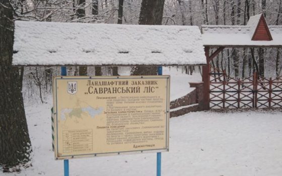 Первый снег: в Одесской области снег засыпал Савранский лес, полиция призывает к осторожности (фото) usionline.com Первый снег: в Одесской области снег засыпал Савранский лес, полиция призывает к осторожности (фото) «фото»