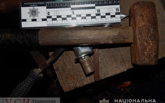 Под Одессой мужчина из-за ревности едва не убил работодателя «фото»